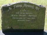 image of grave number 918181